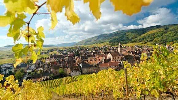 Au Petit Bonheur Appartement Thannenkirch Buitenkant foto