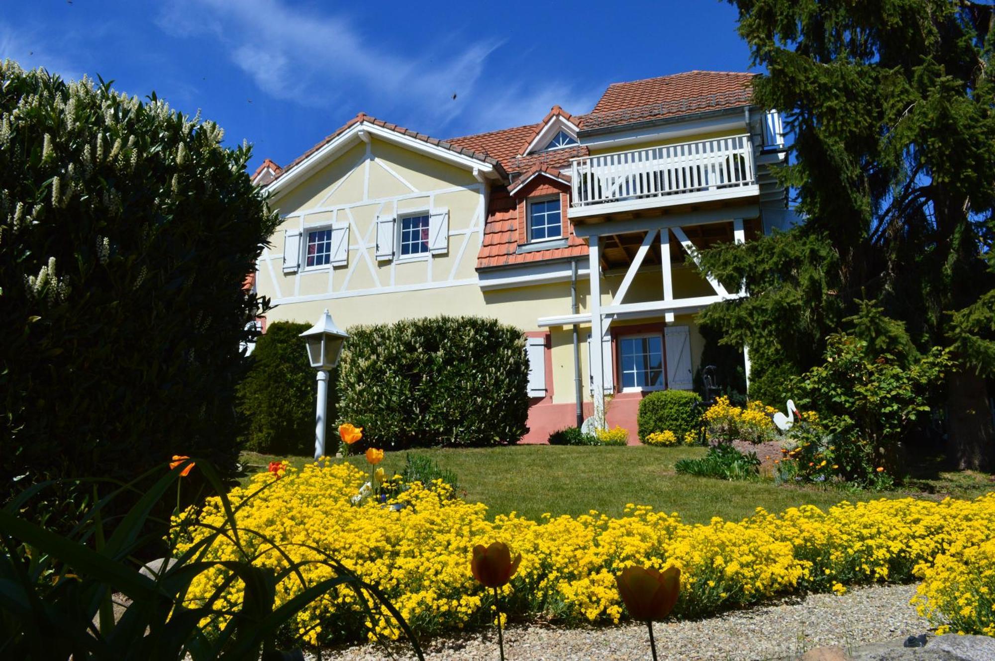 Au Petit Bonheur Appartement Thannenkirch Buitenkant foto